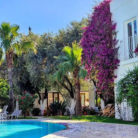 Lägenhetshotell Meis Bitez