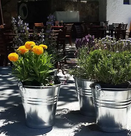 Meis Aparthotel Bitez