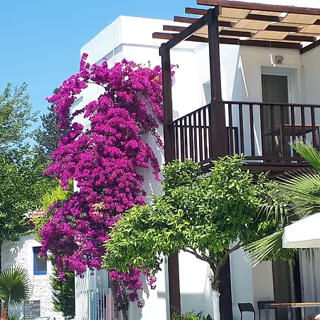 Апарт-отель Meis 4*