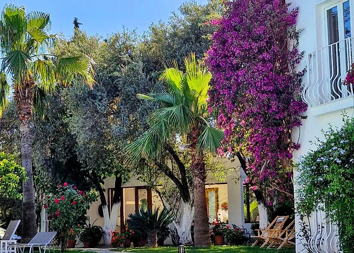 Aparthotel Meis Bitez