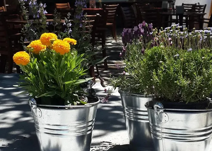 Апарт-отель Meis