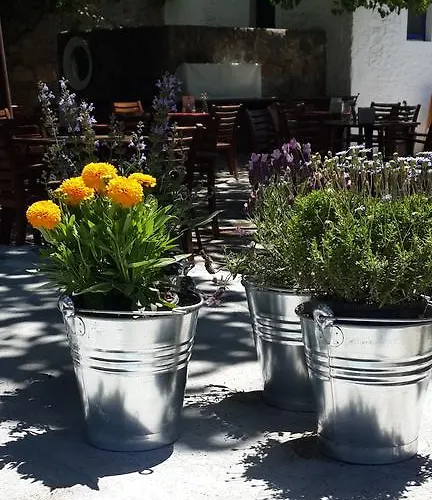 Meis Apart-hotel Bitez